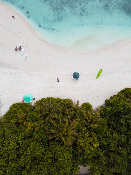 aerial photography of people near seashore during daytime in Ukulhas Maldives