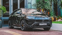 black car parked beside building and plants