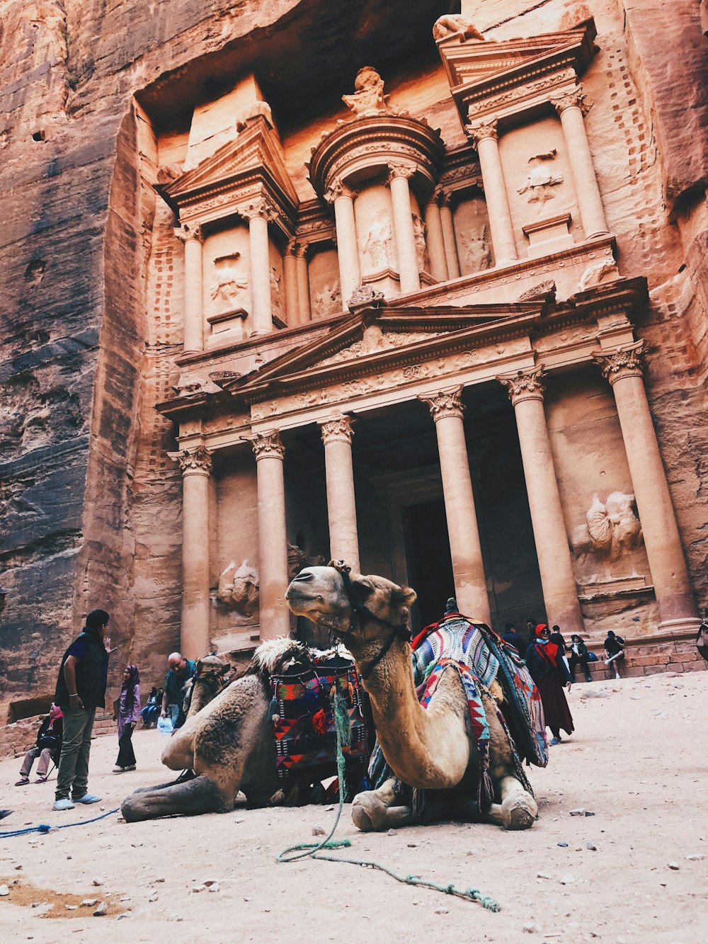 chameau à l’extérieur de la Jordanie de Petra