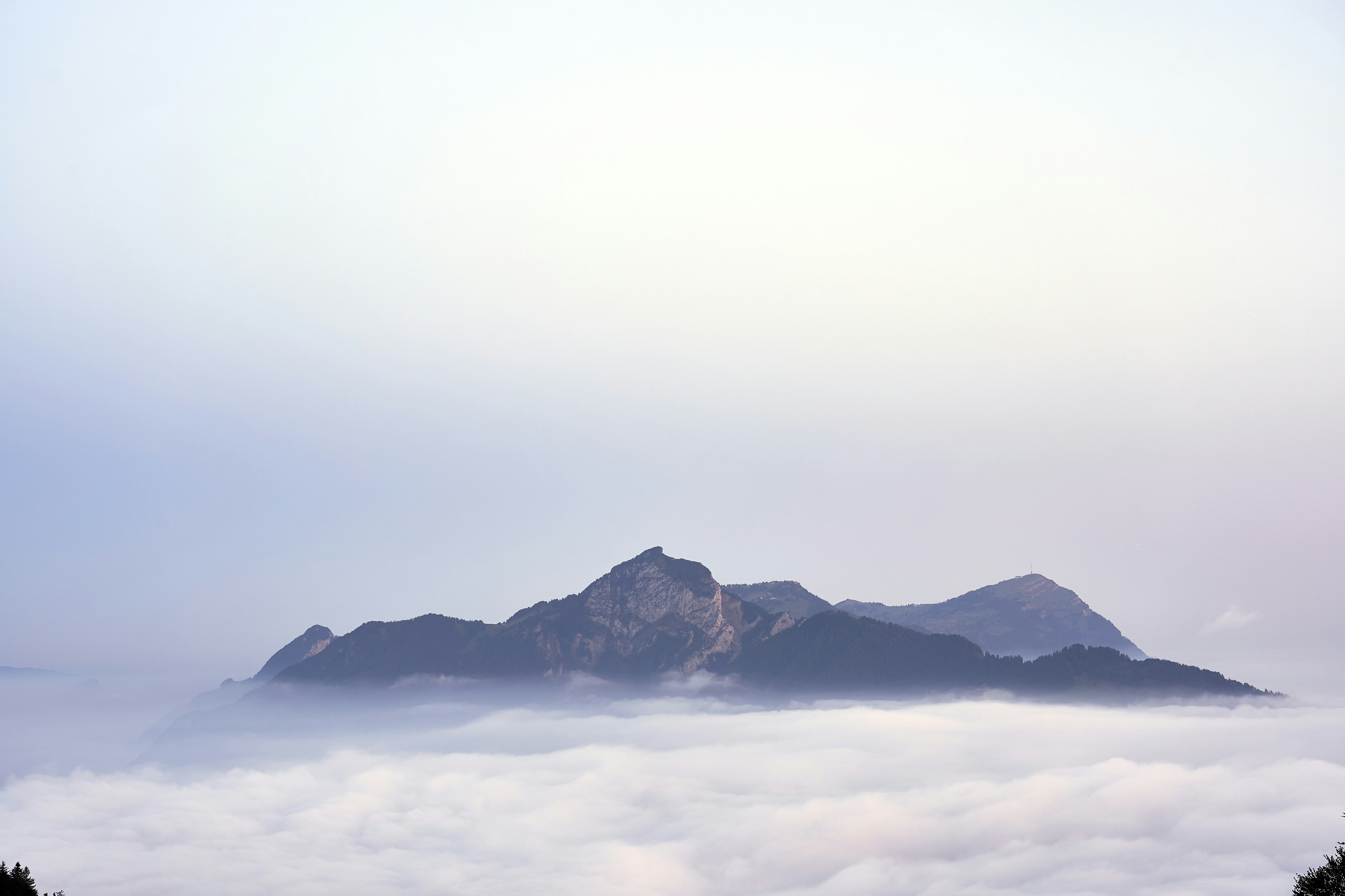 Photo by wolfgang_hasselmann