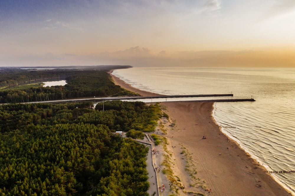 gray concrete dock bridge near seashore