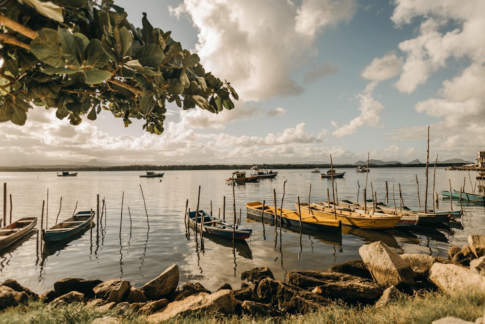 different boats on body of water under white and blue sky