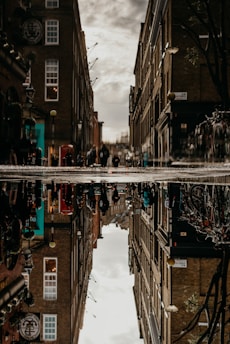 people near buildings