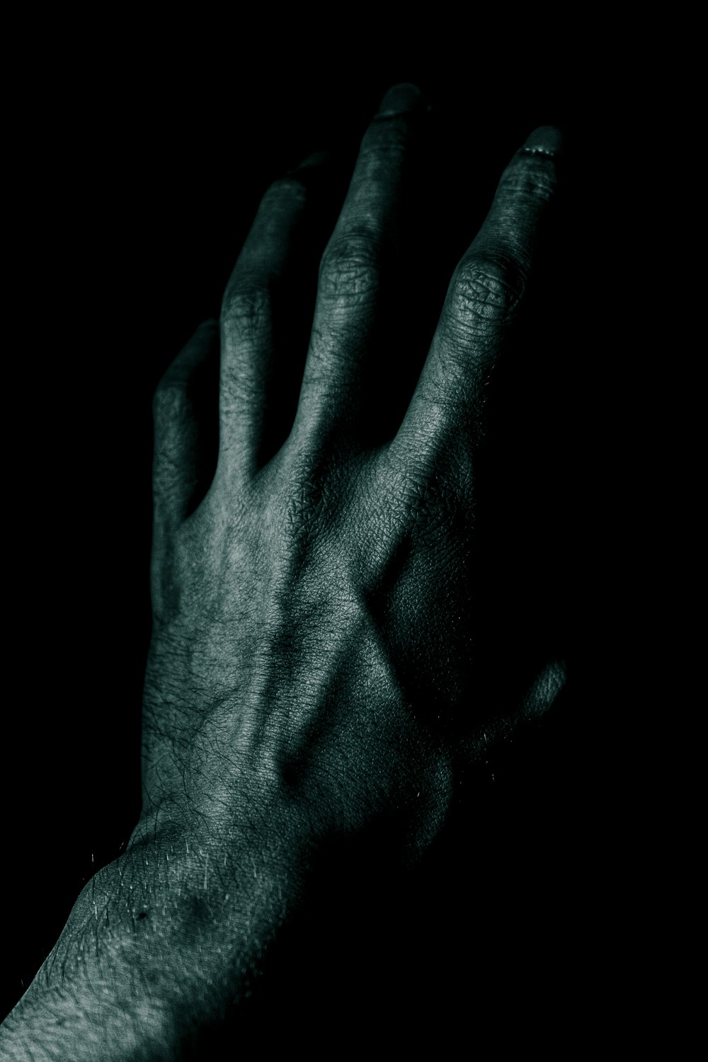 grayscale photo of human hand