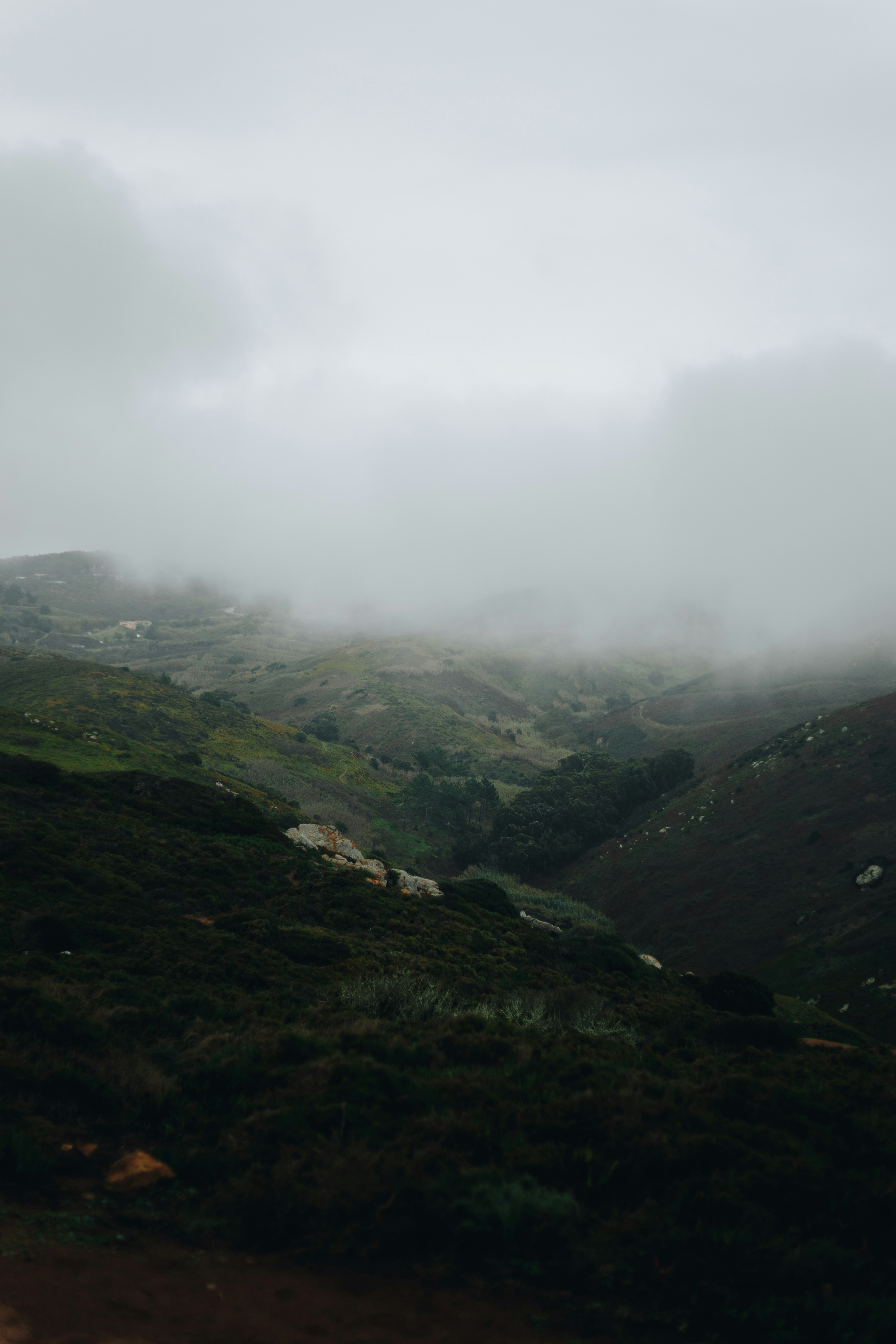 Photo by turutututuu