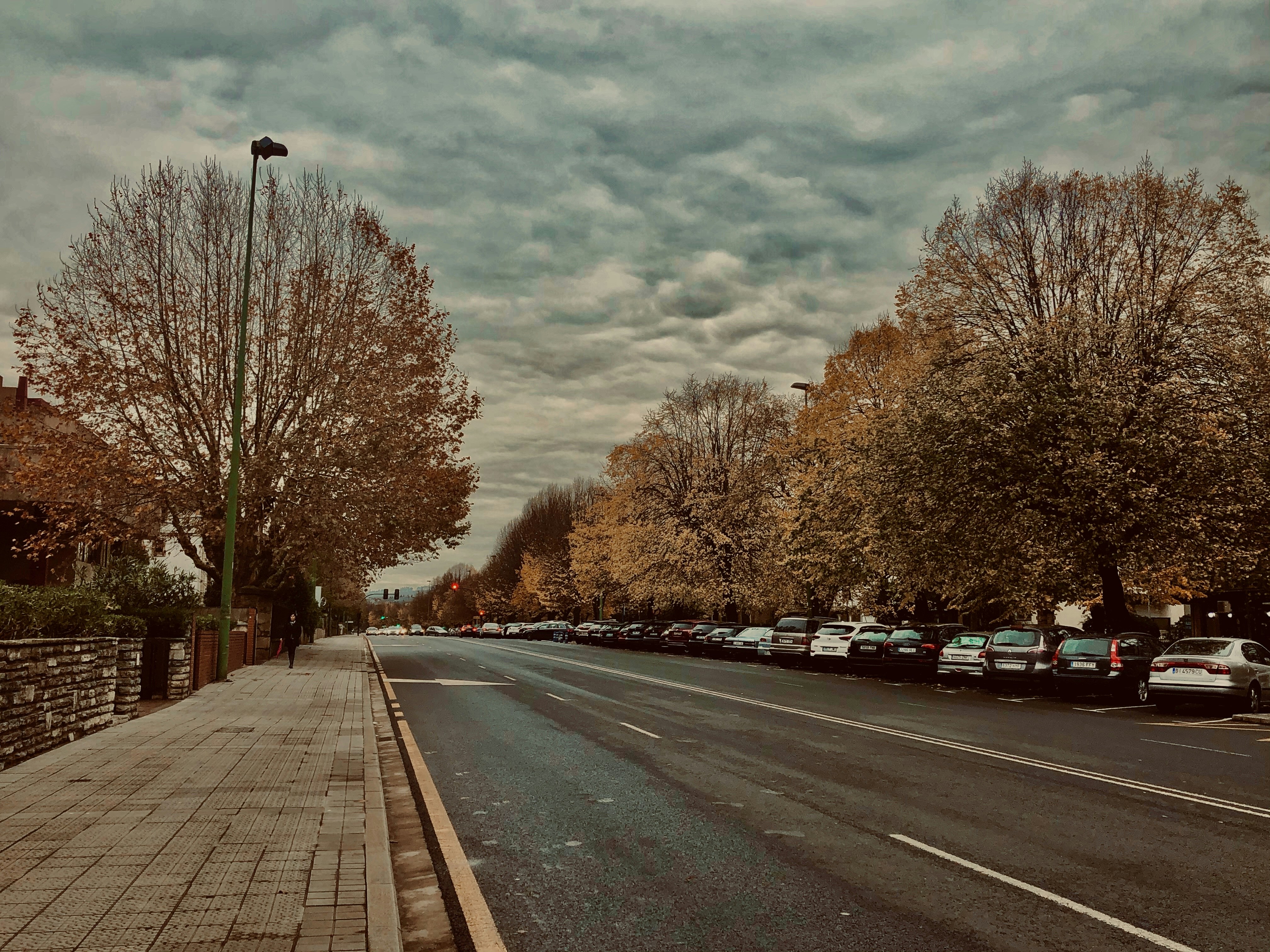 Photo by anevidaurrazaga