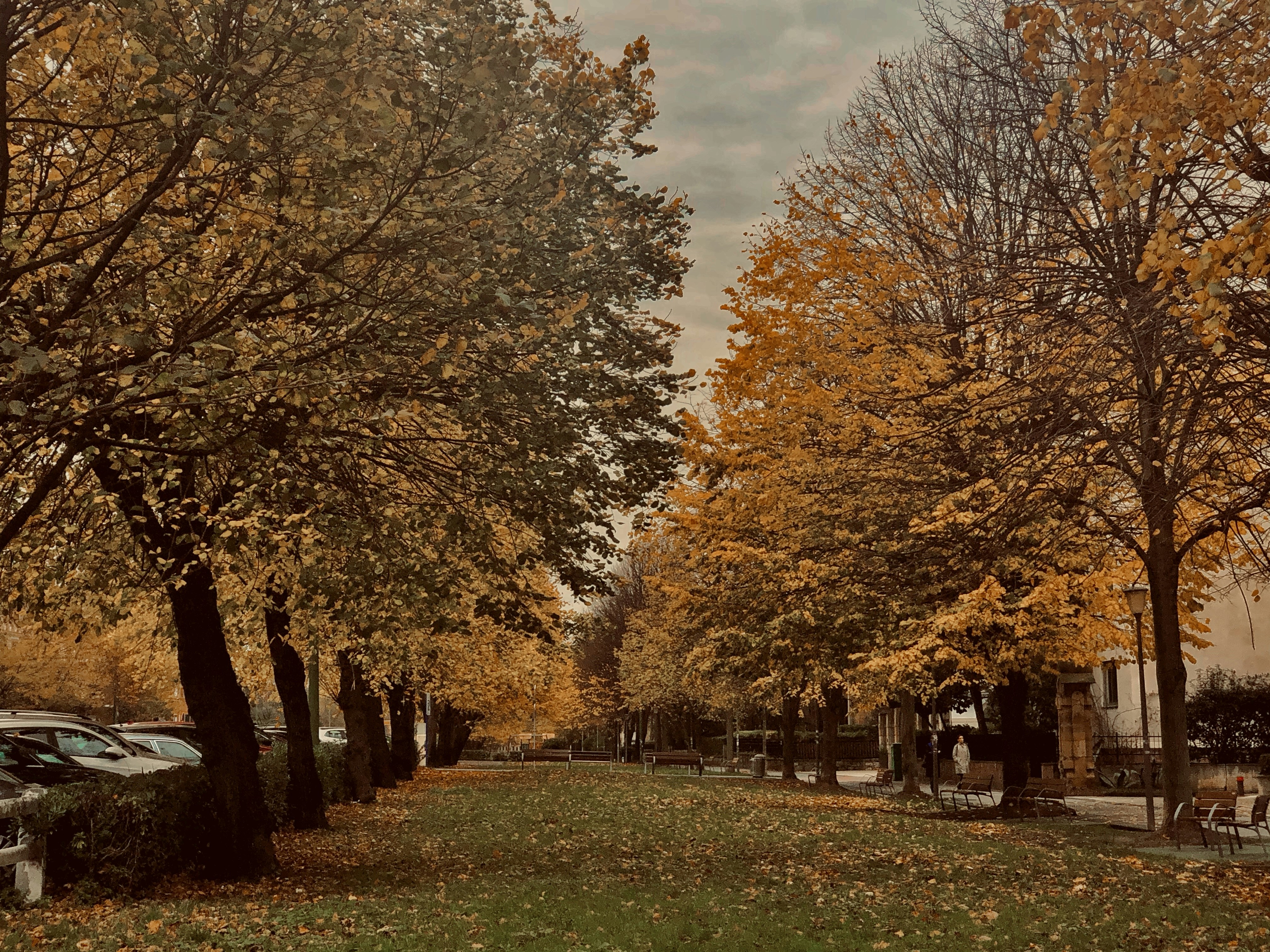 Photo by anevidaurrazaga