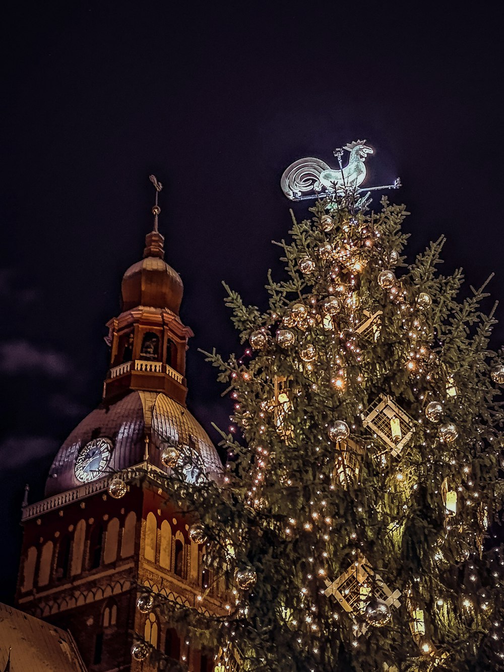 albero vicino alla chiesa