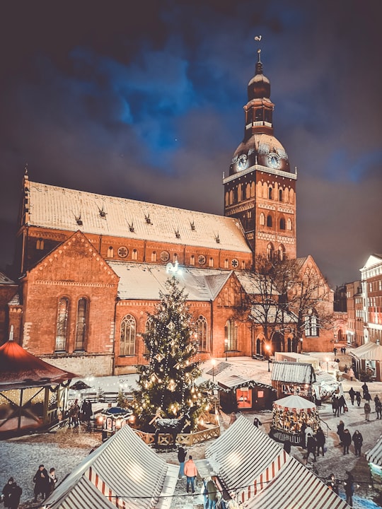 Christmas tree beside shed at night in Riga Cathedral Latvia