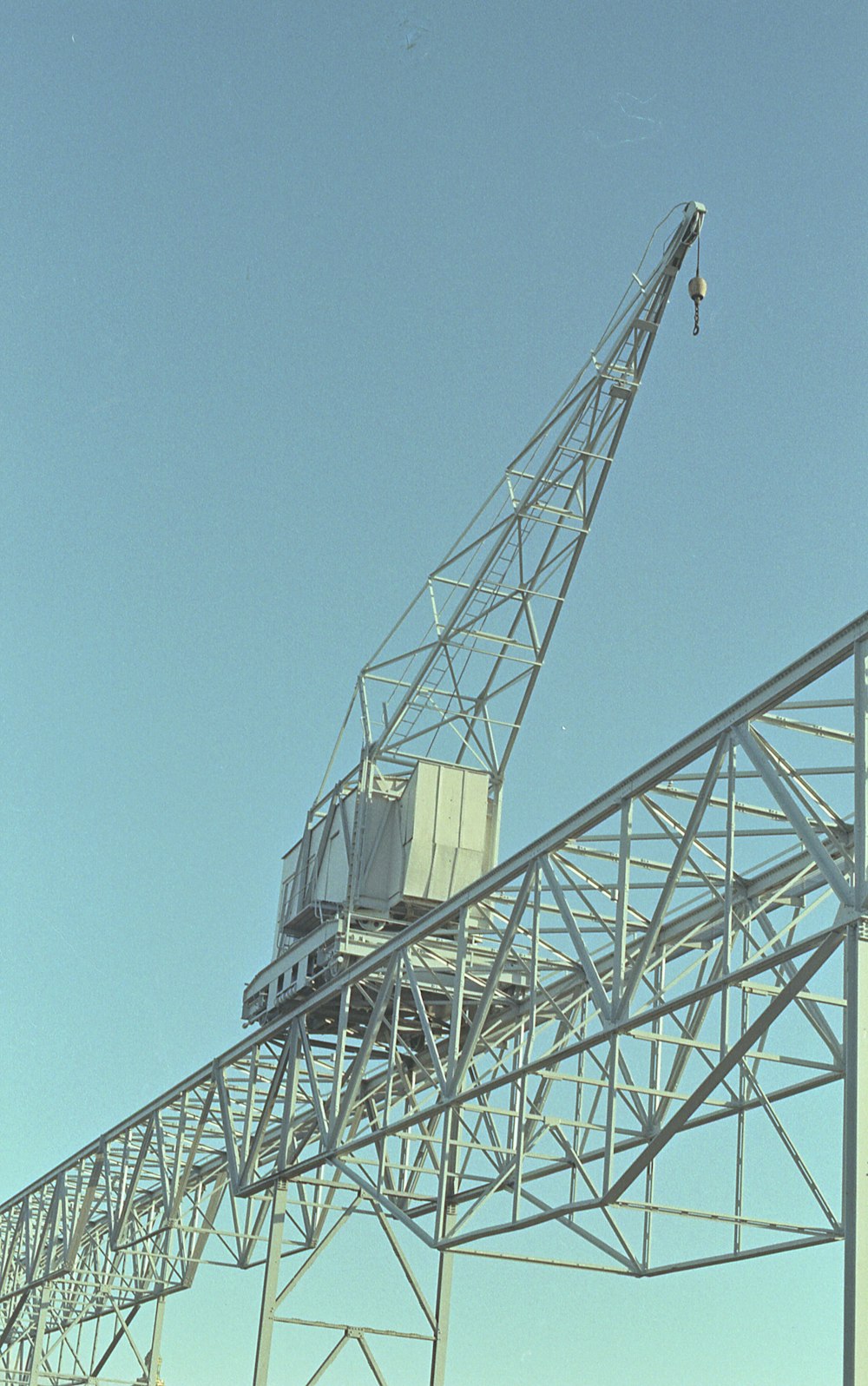 closeup photo of crane during daytime