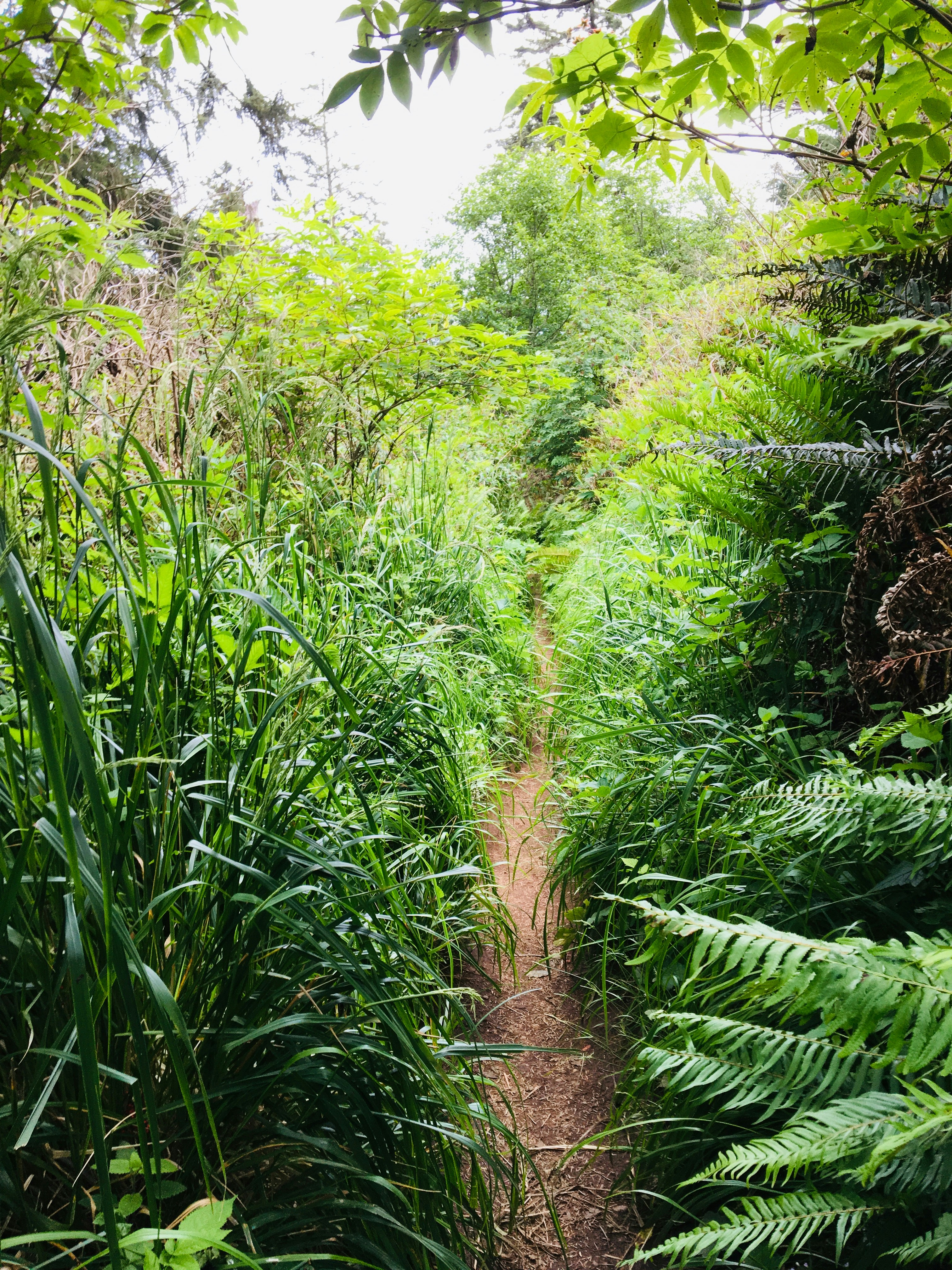 Photo by kaylalinford