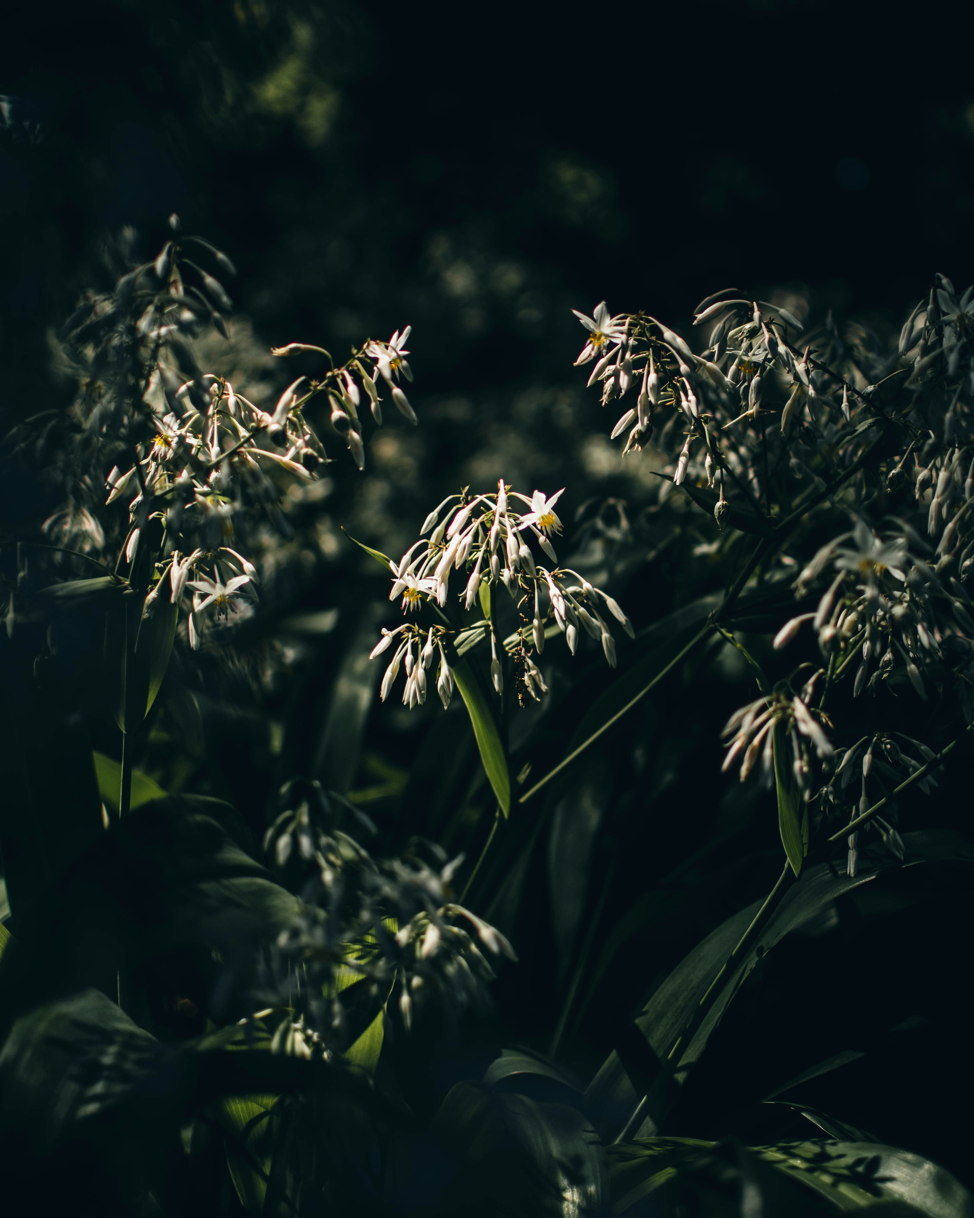 Photo by josiahfarrow