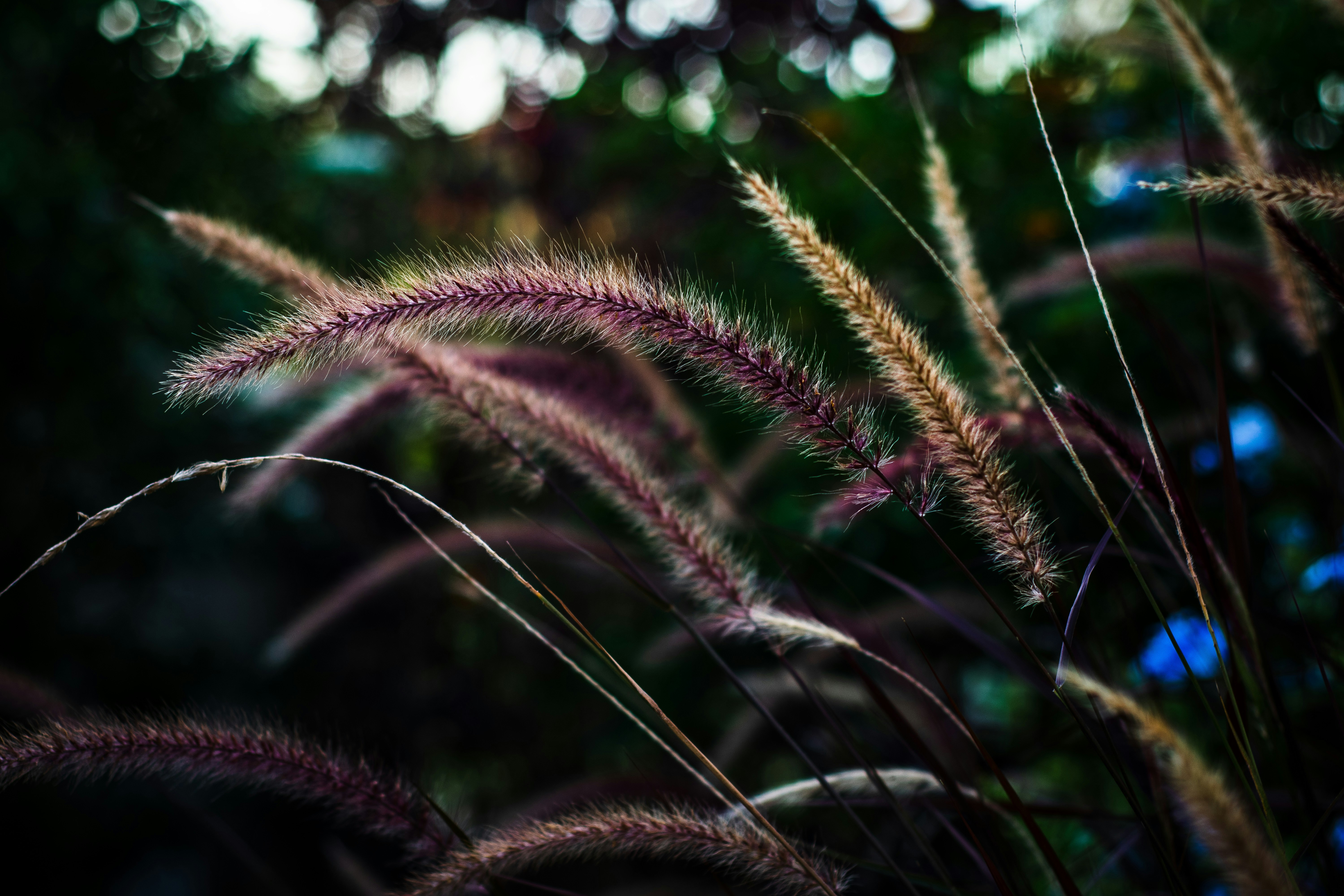 Photo by hdubs