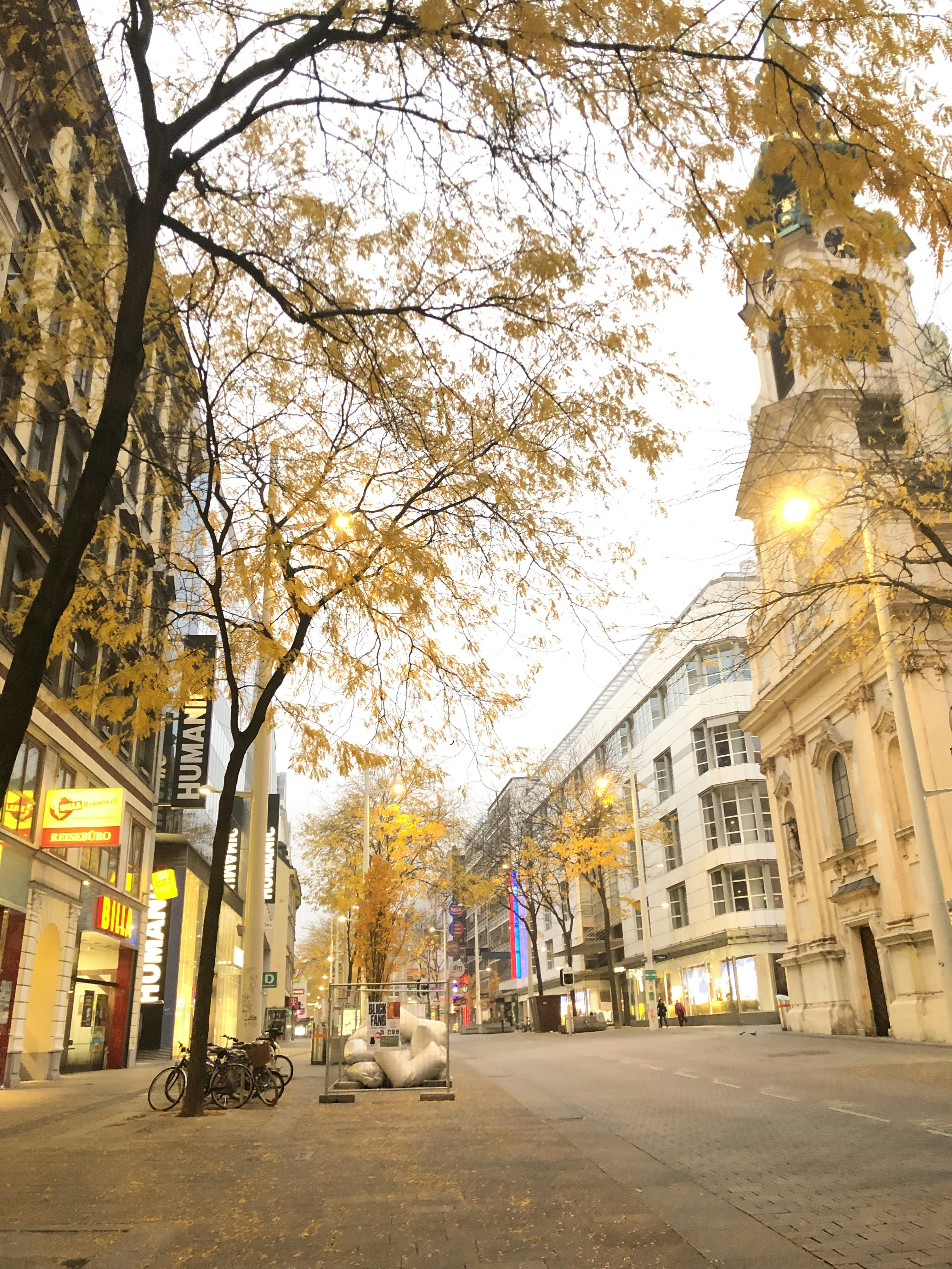 Photo by arnosenoner