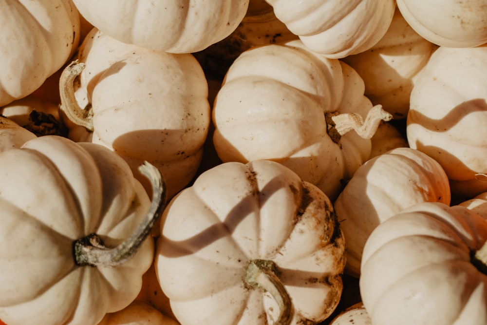 yellow squashes