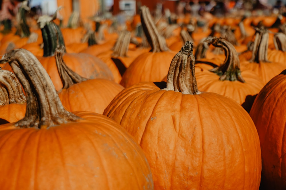 orange pumpkins