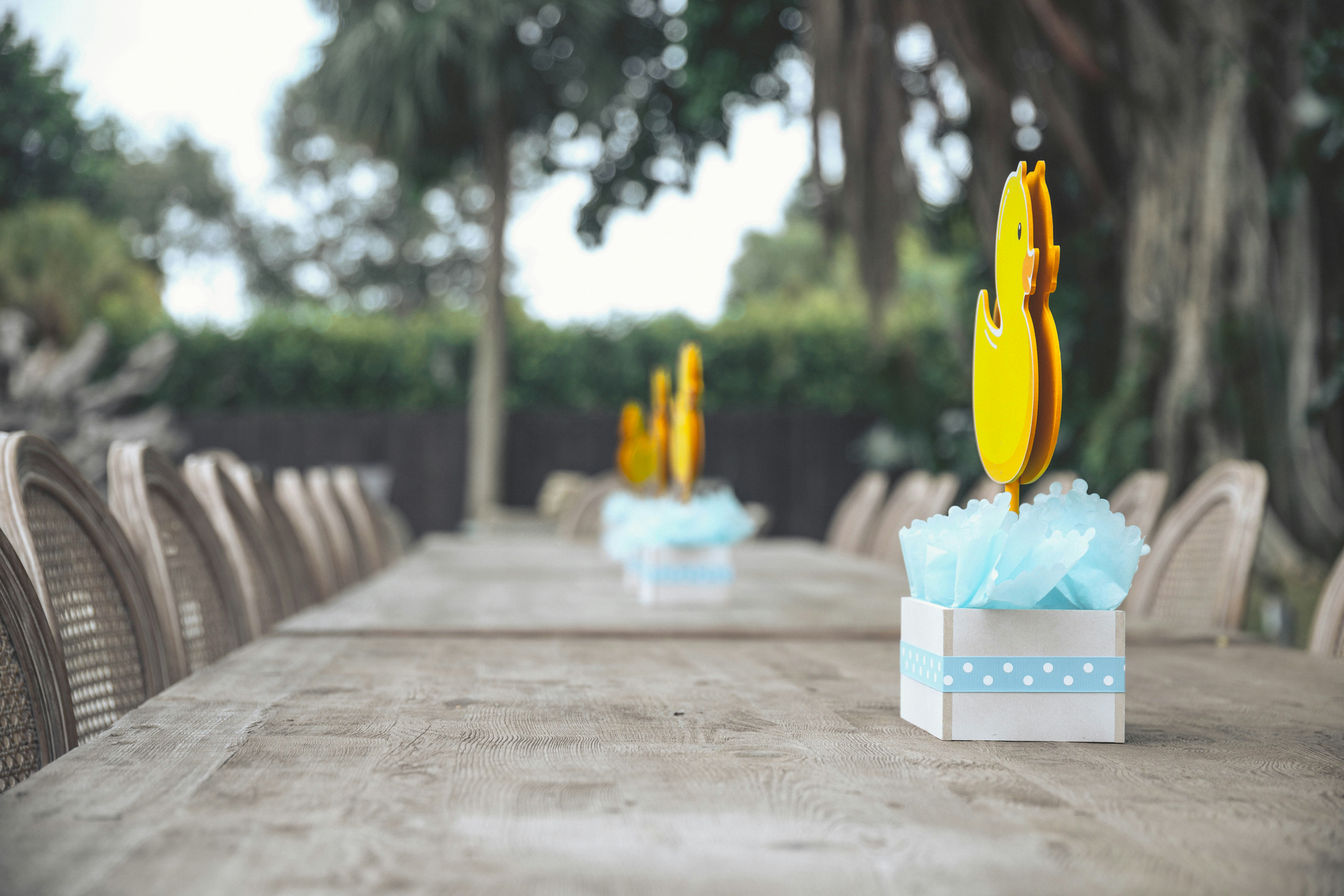 Social gathering setup