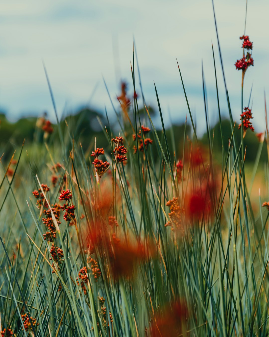 Ecoregion photo spot Melbourne Frankston