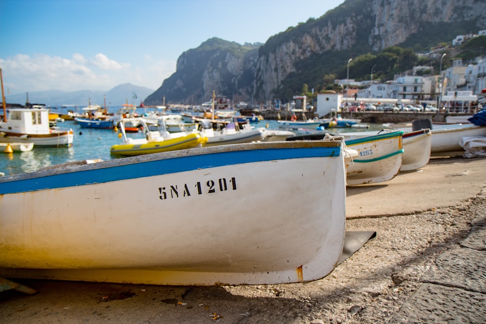 boats on shore