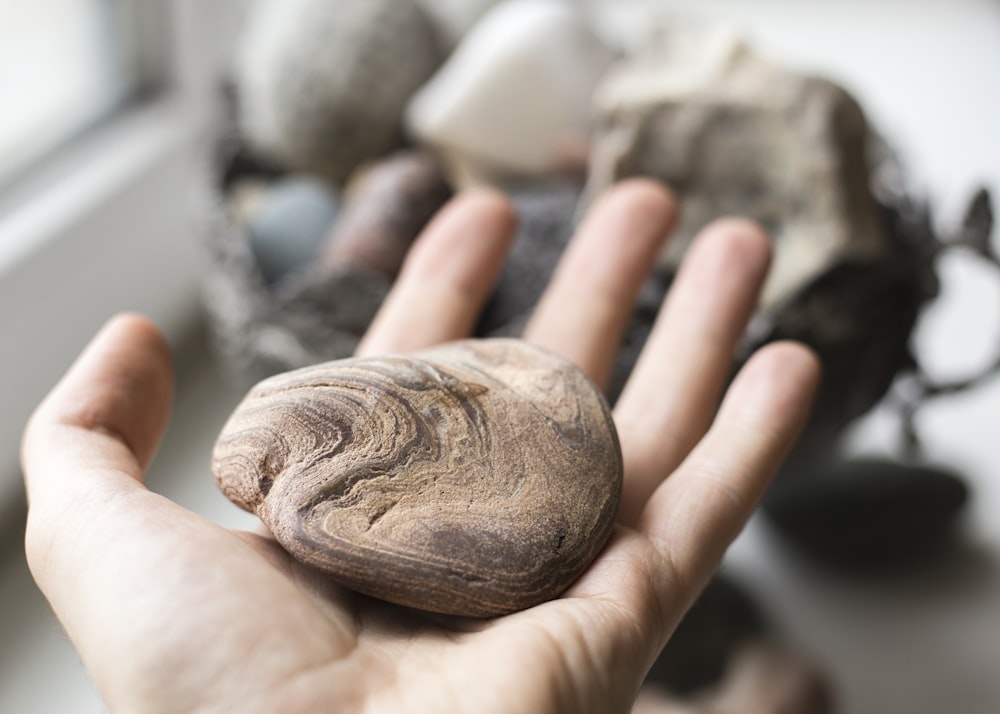 brown stone on palm