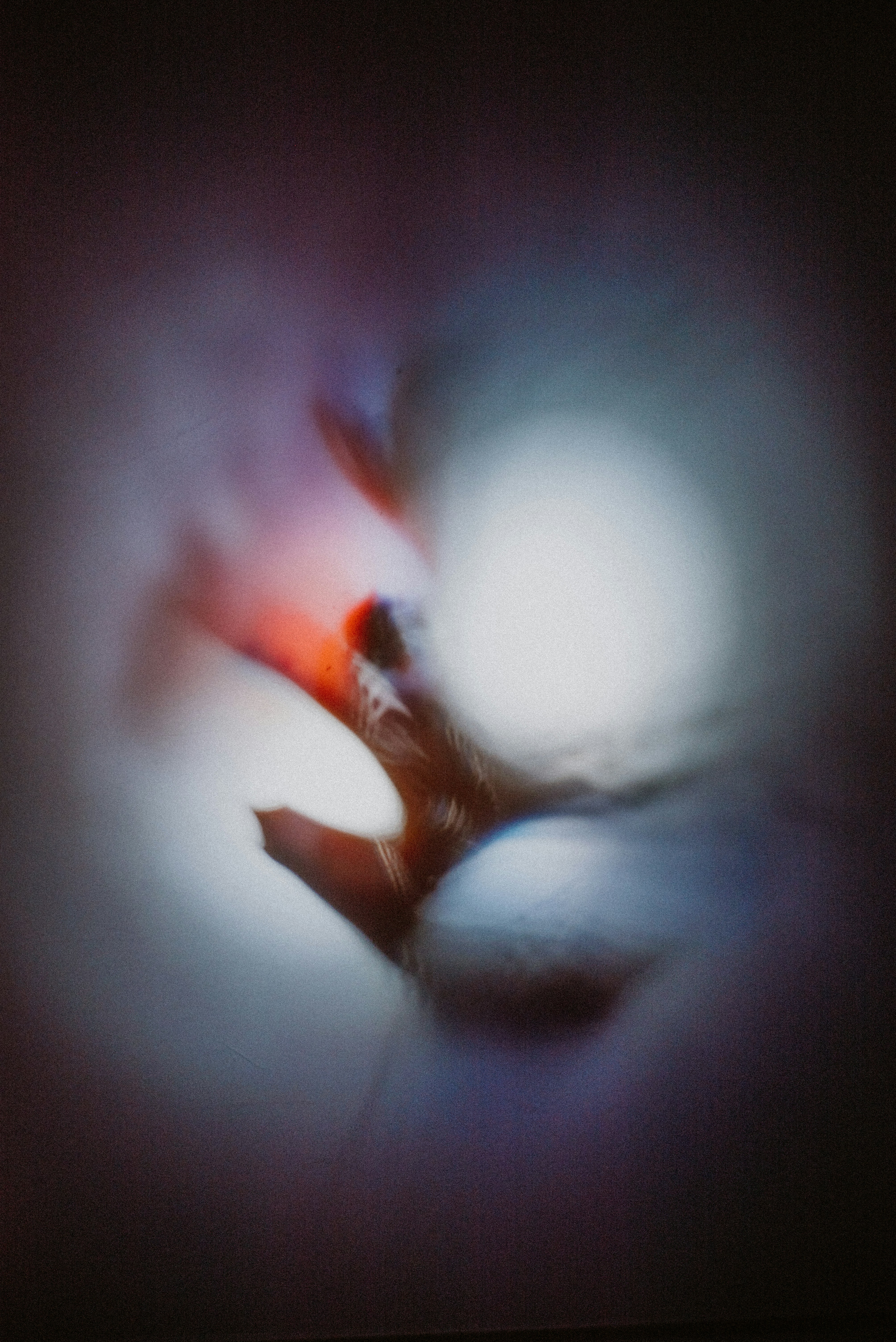 Photo by evieshaffer