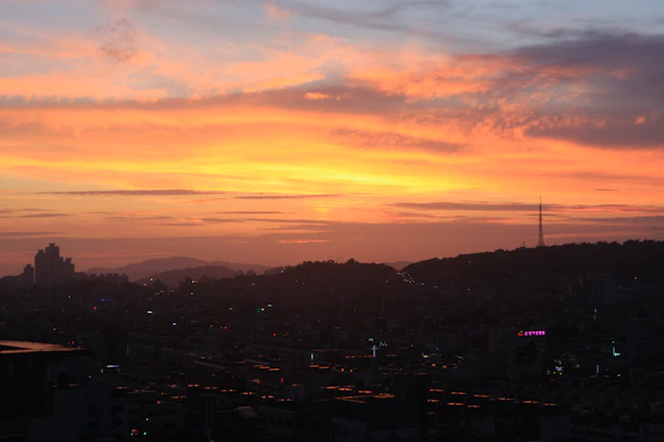 Abstract graphic showing rising signal waves over a city skyline at dusk.
