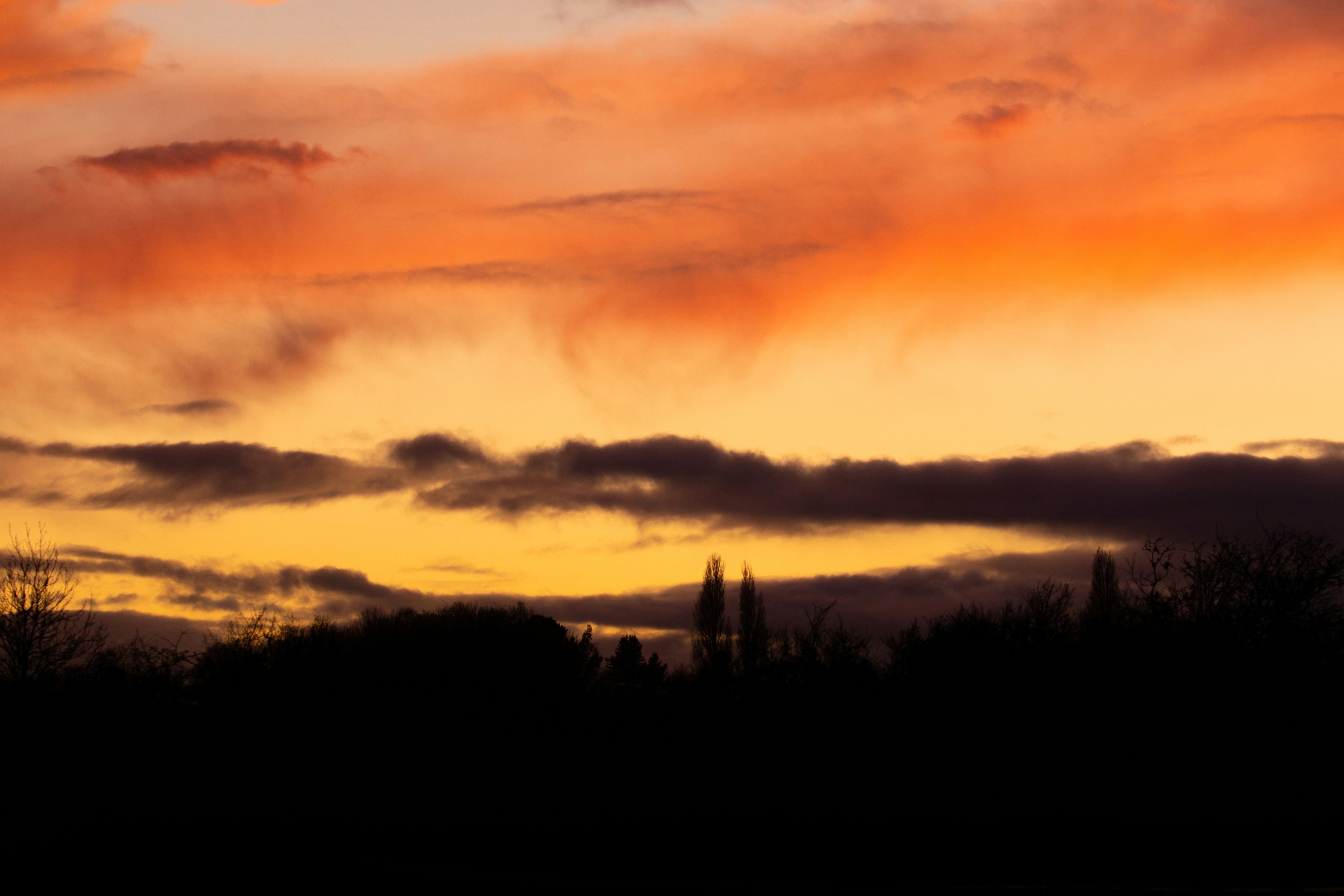 Photo by theotherkev