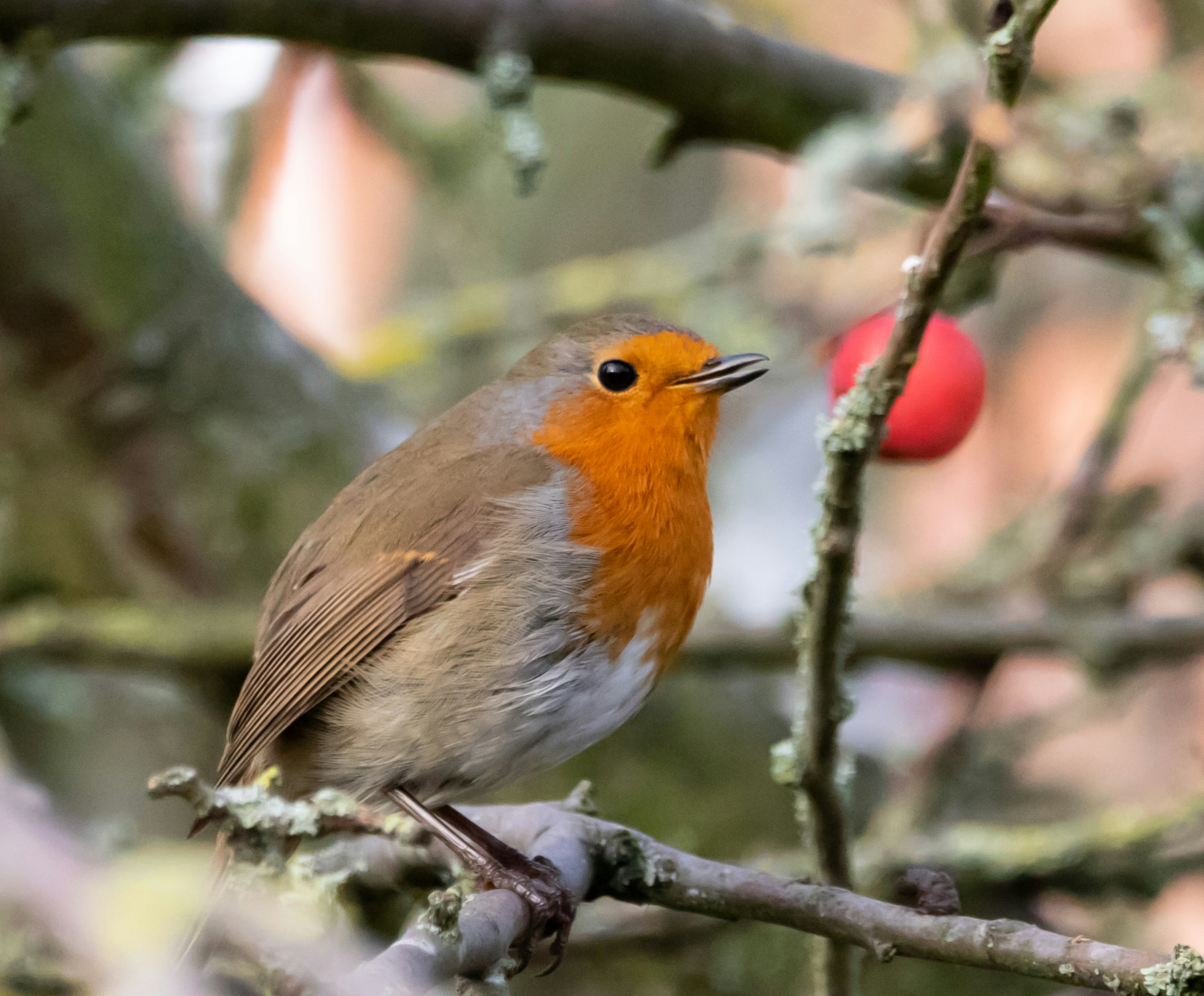 Photo by theotherkev