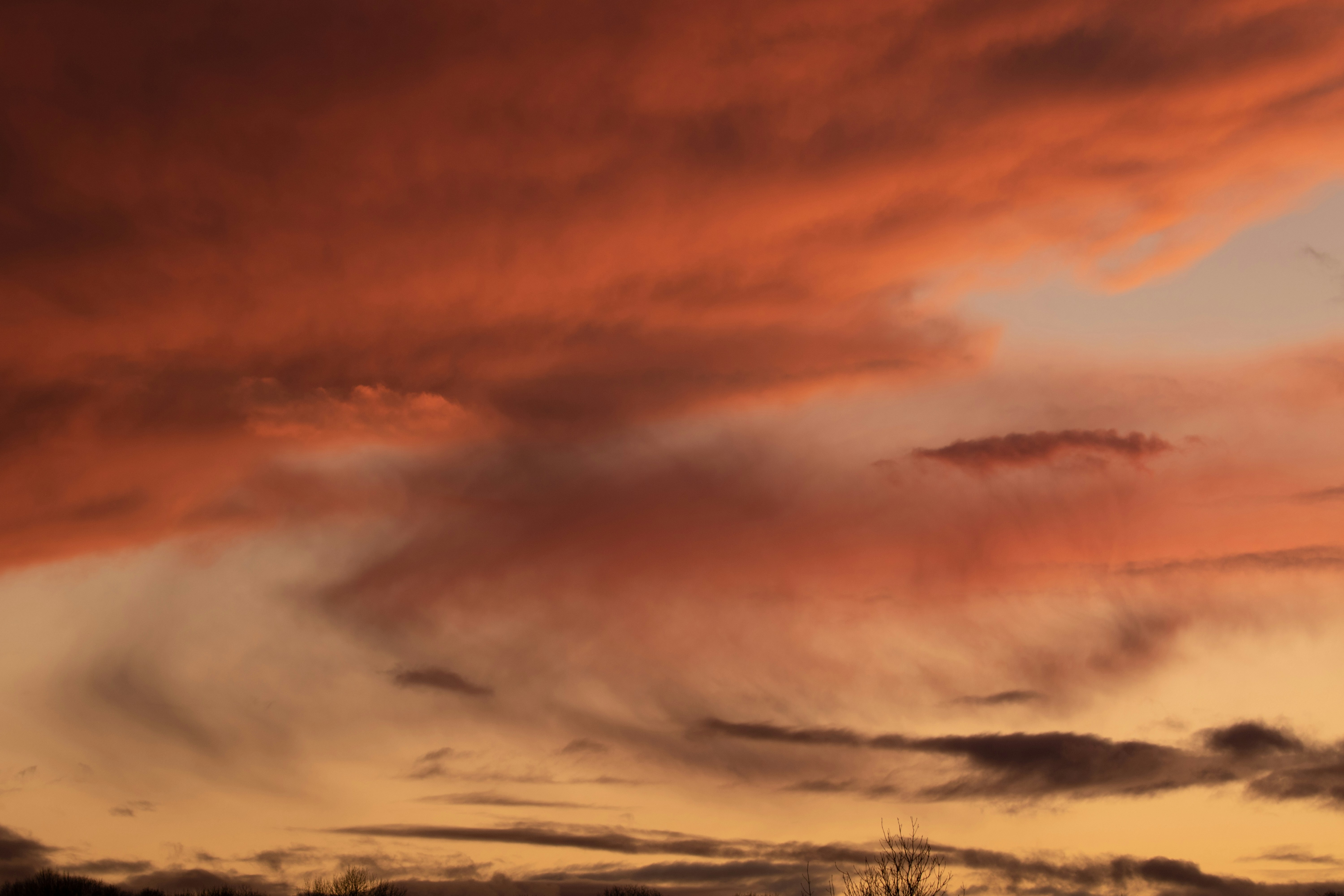 Photo by theotherkev