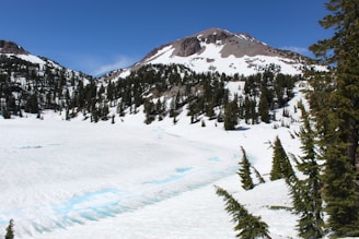 A serene mountain landscape in Brian Head with evergreen trees dusted in snow under a soft blue sky.