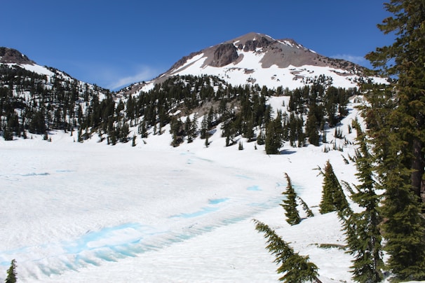 A serene mountain landscape in Brian Head with evergreen trees dusted in snow under a soft blue sky.