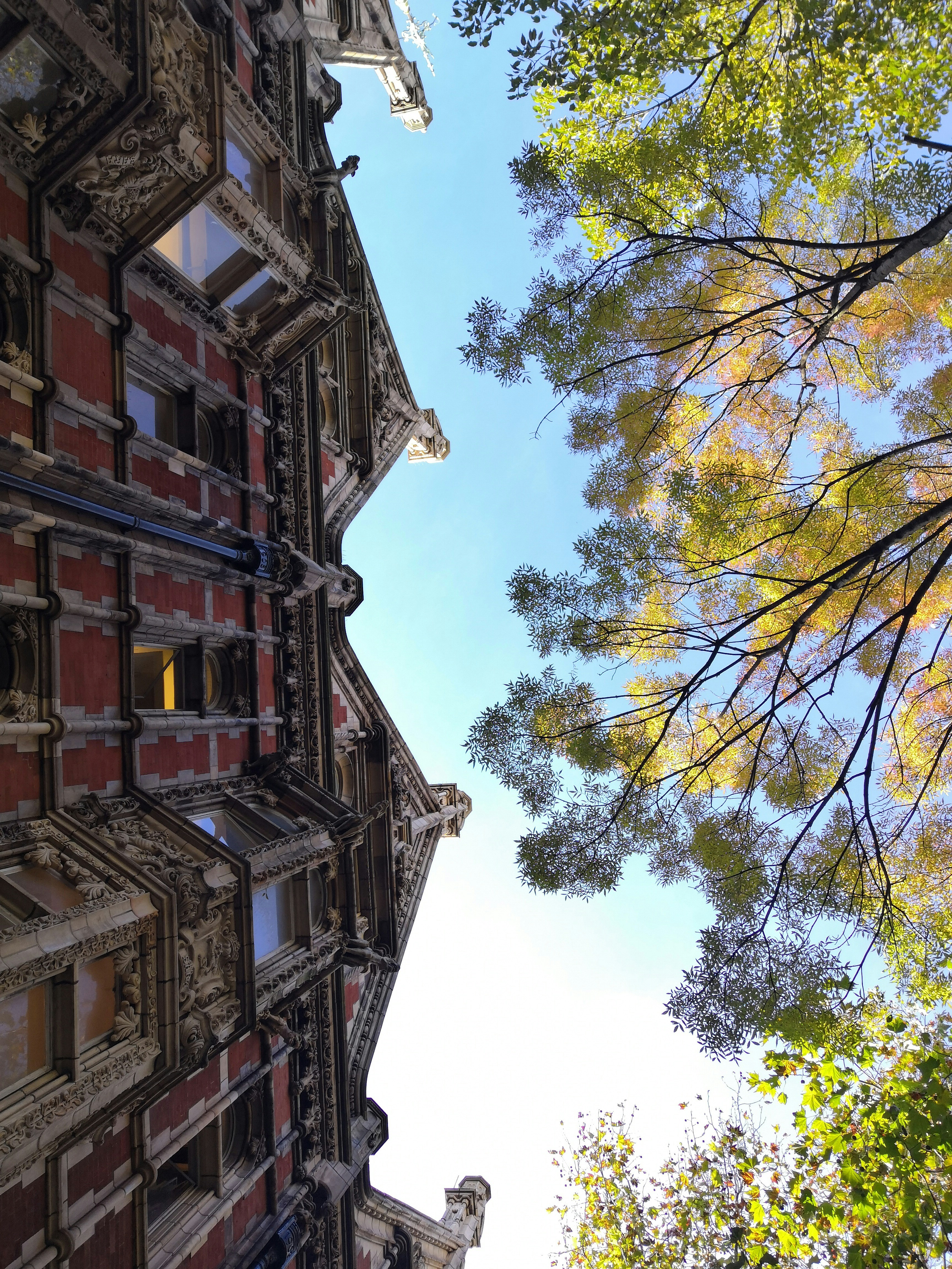 Photo by unicorn_ice