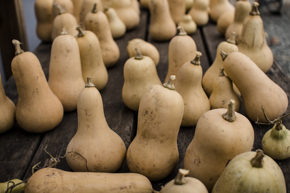 brown gourd lot