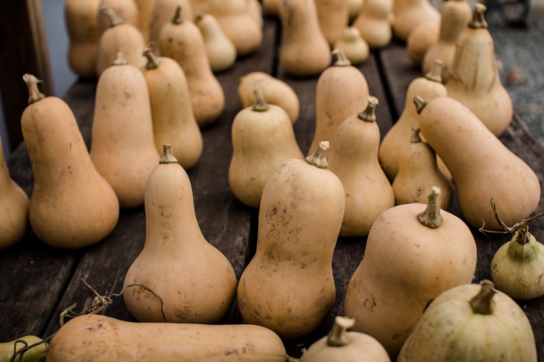 brown gourd lot