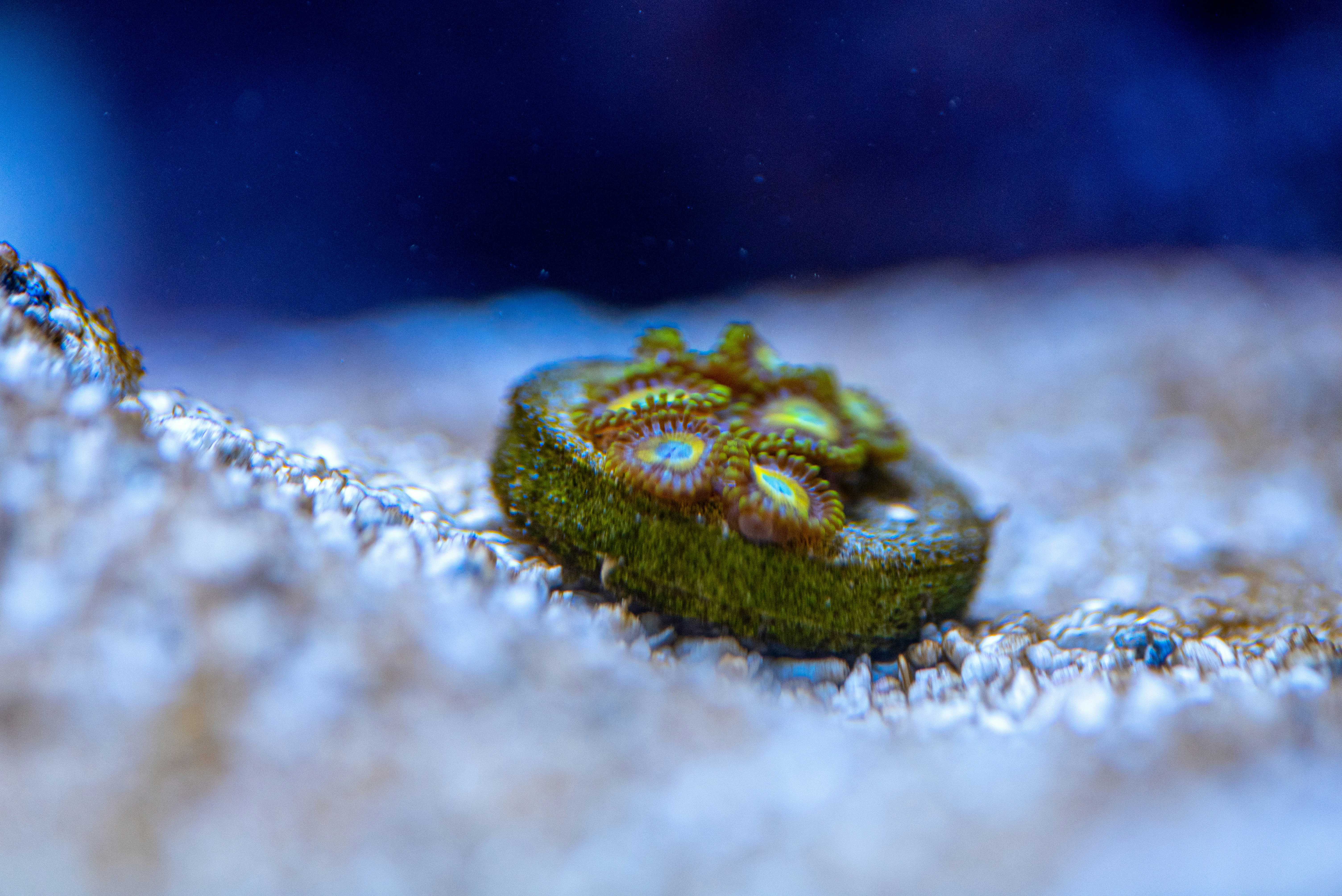 Photo by melroseadam