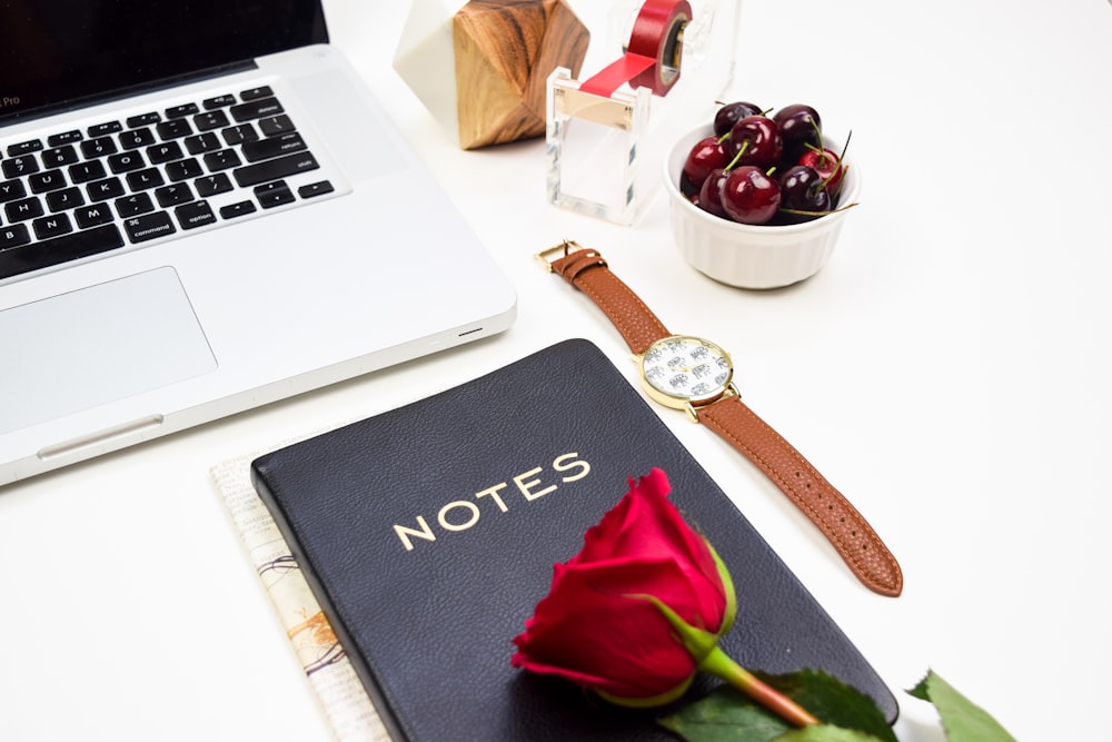 rote Rose auf Notebook in der Nähe des MacBook