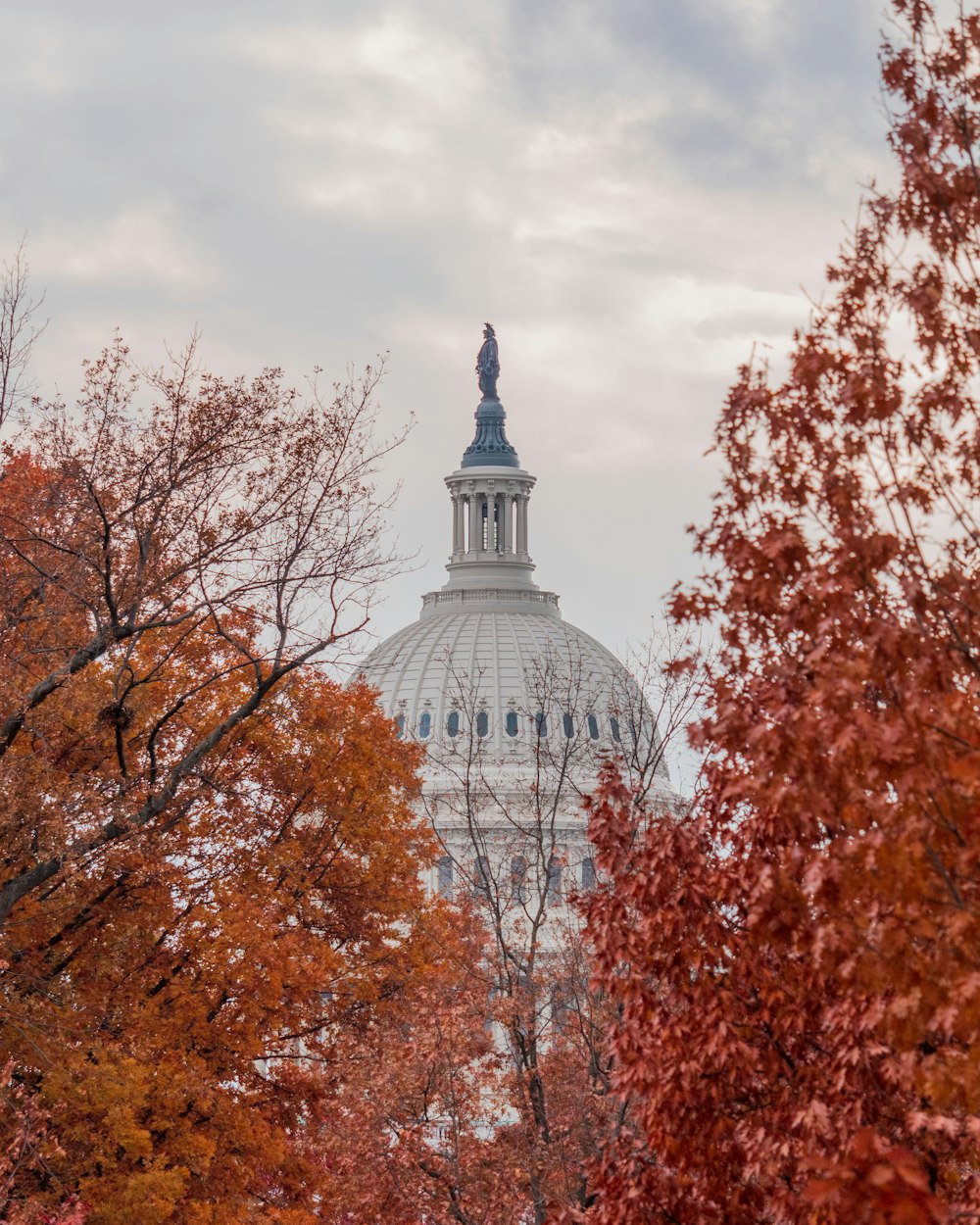 a view of the dome of the capitol building through the trees