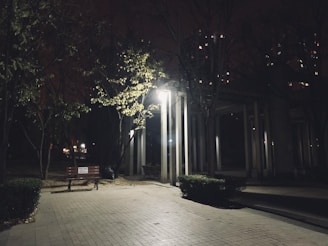 Evening scene of a park bench with an SS Phone Charging station illuminated, ready for use.