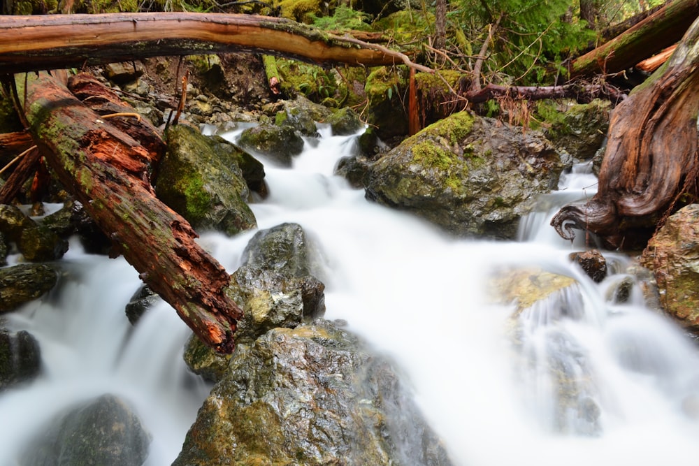 river and rocks during daytime