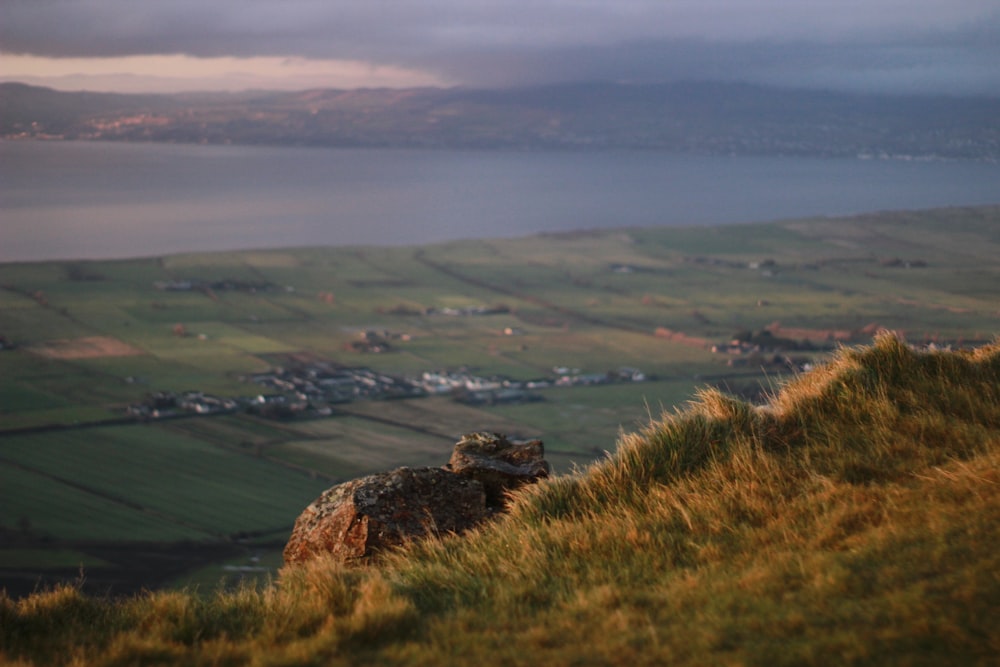 a sheep standing on top of a grass covered hillside