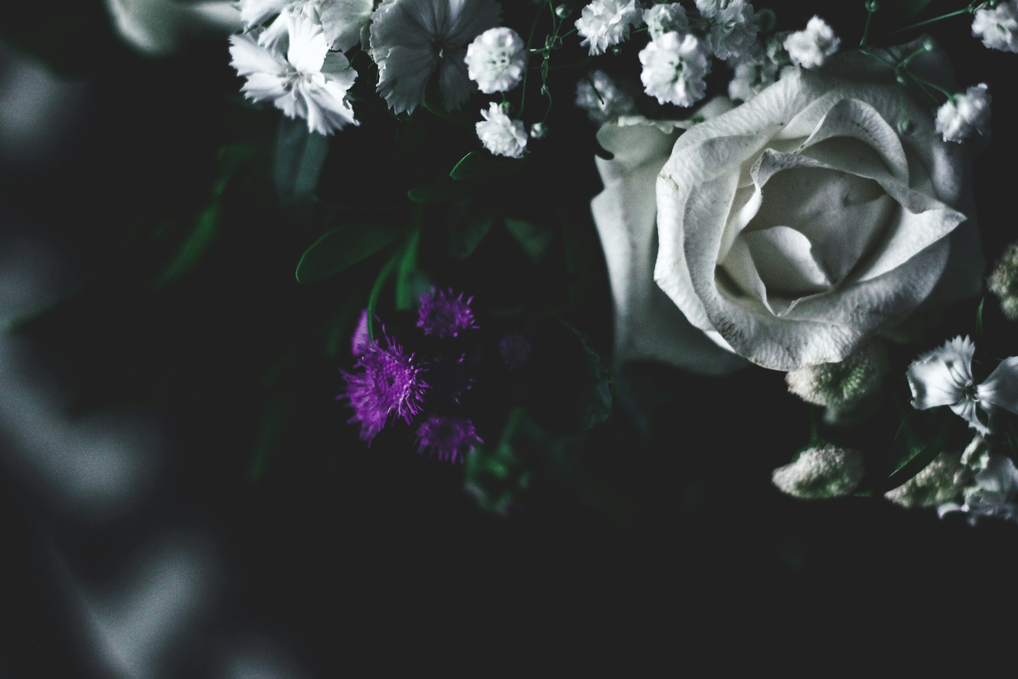 Photo by eduardocanophotoco