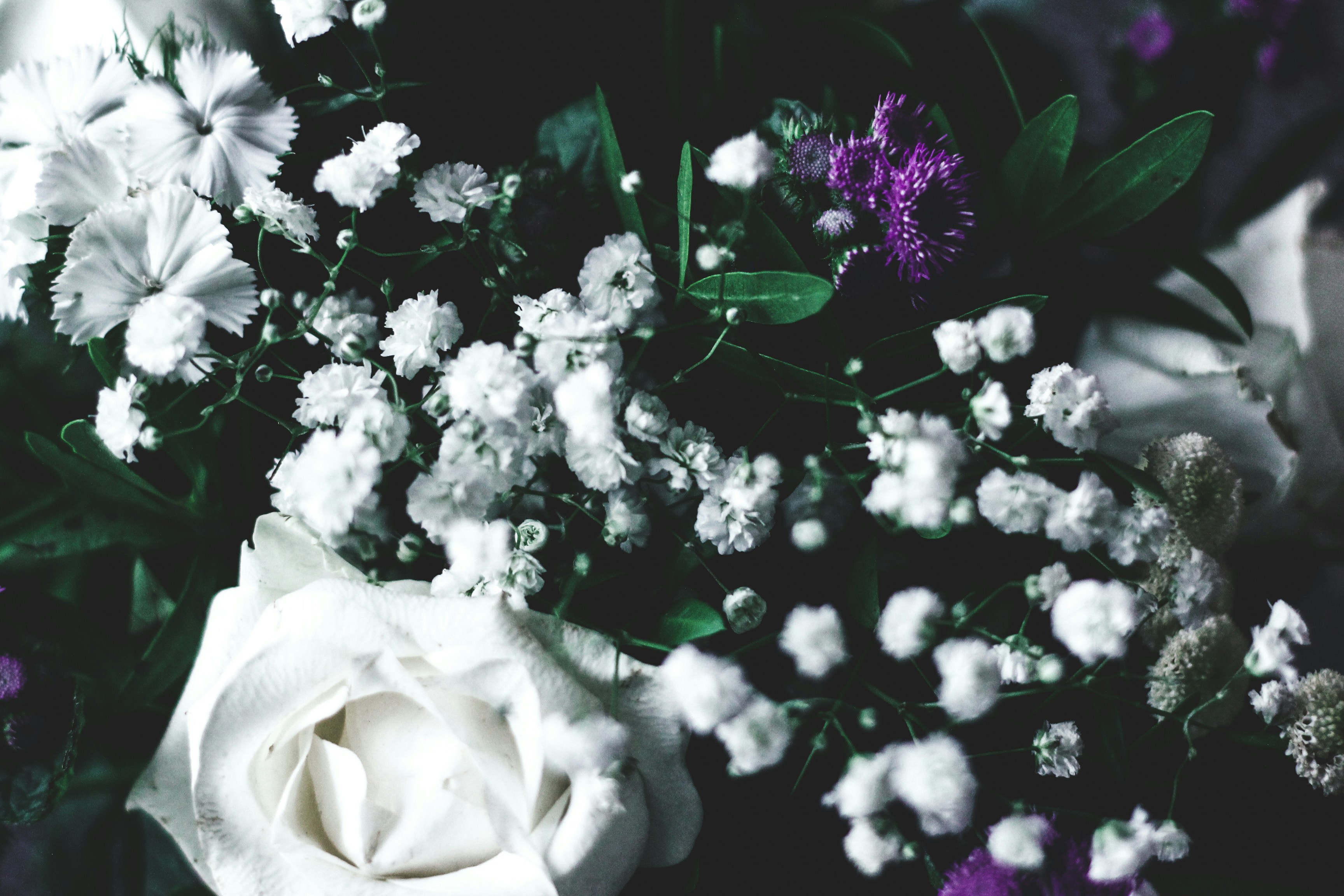 Photo by eduardocanophotoco