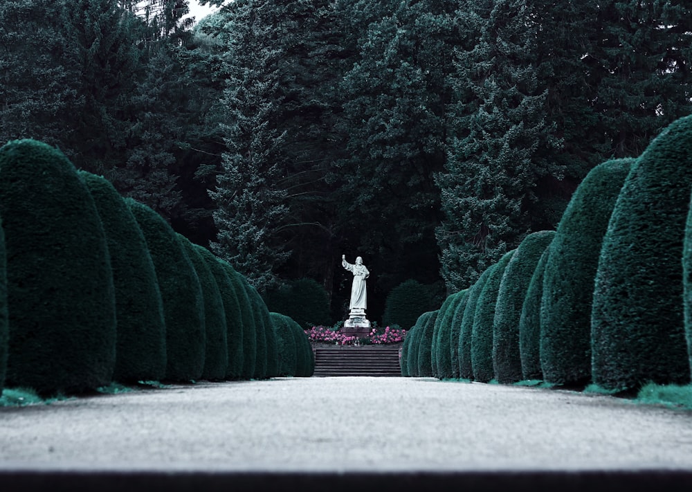 statue near trees and plants