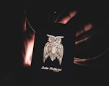 A whimsical illustration of a great horned owl wearing a cape.