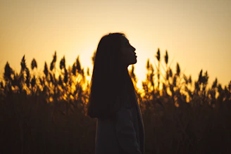 silhouette of person standing while facing left side