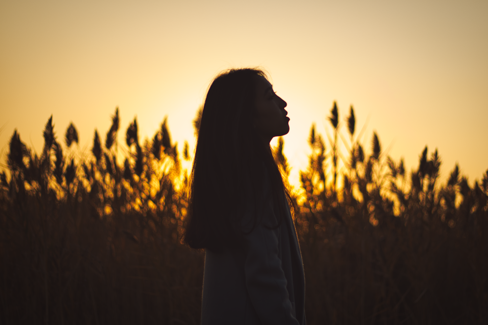 silhouette of person standing while facing left side