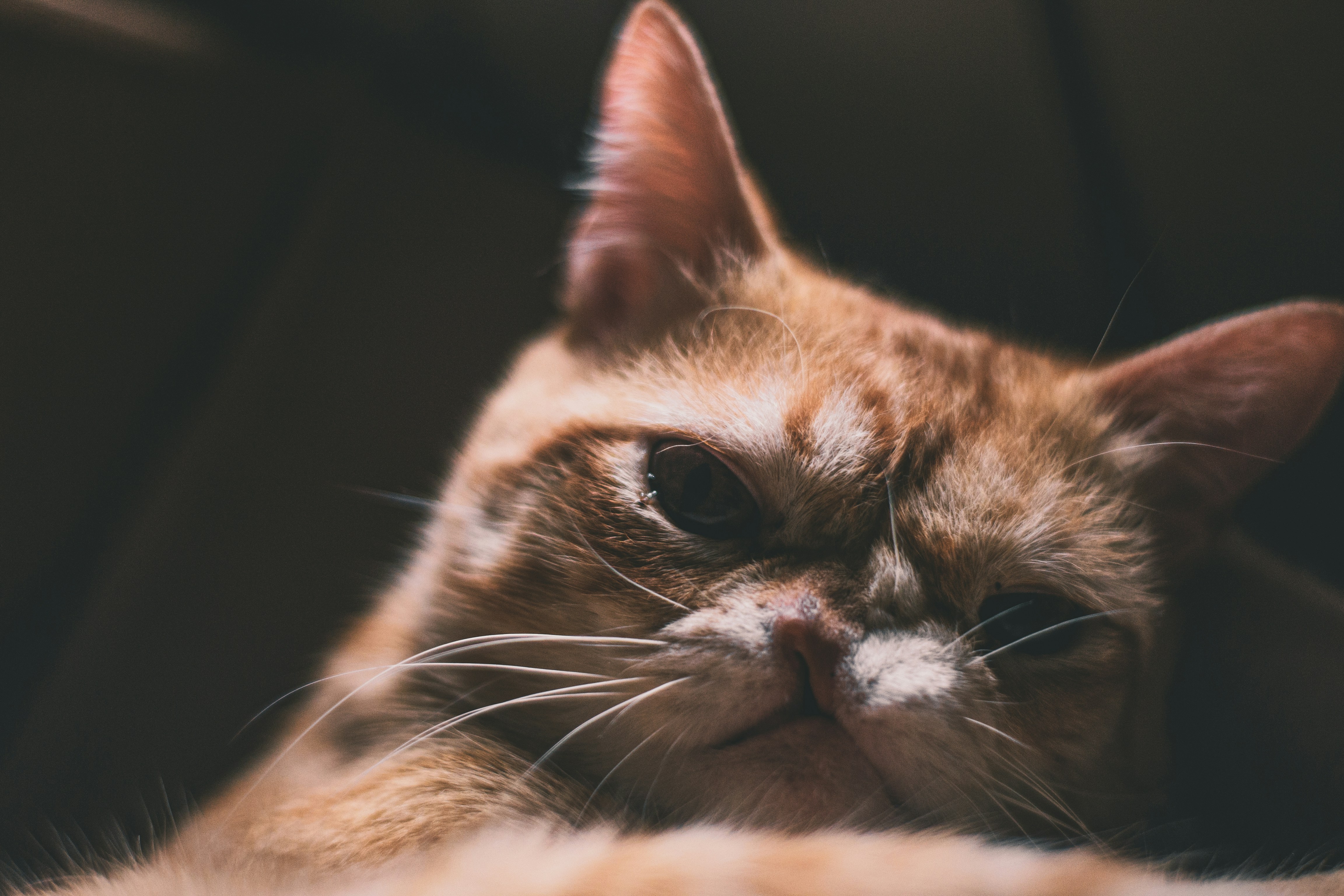 Photo by agustinfernandez