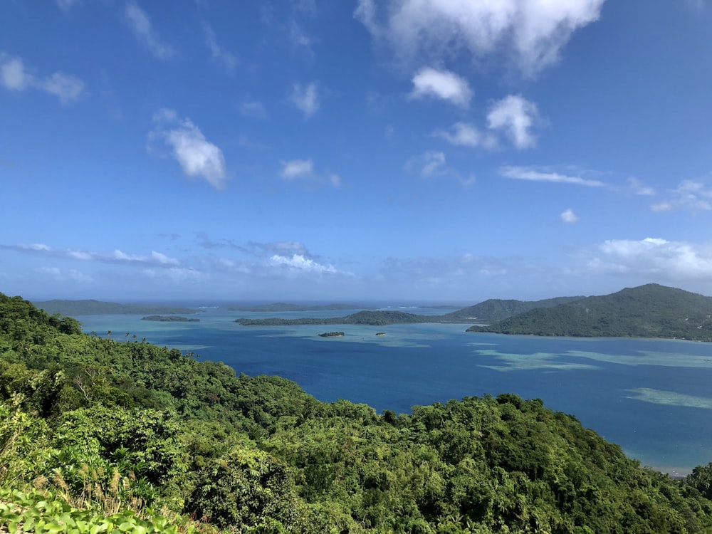 a view of the ocean from a hill