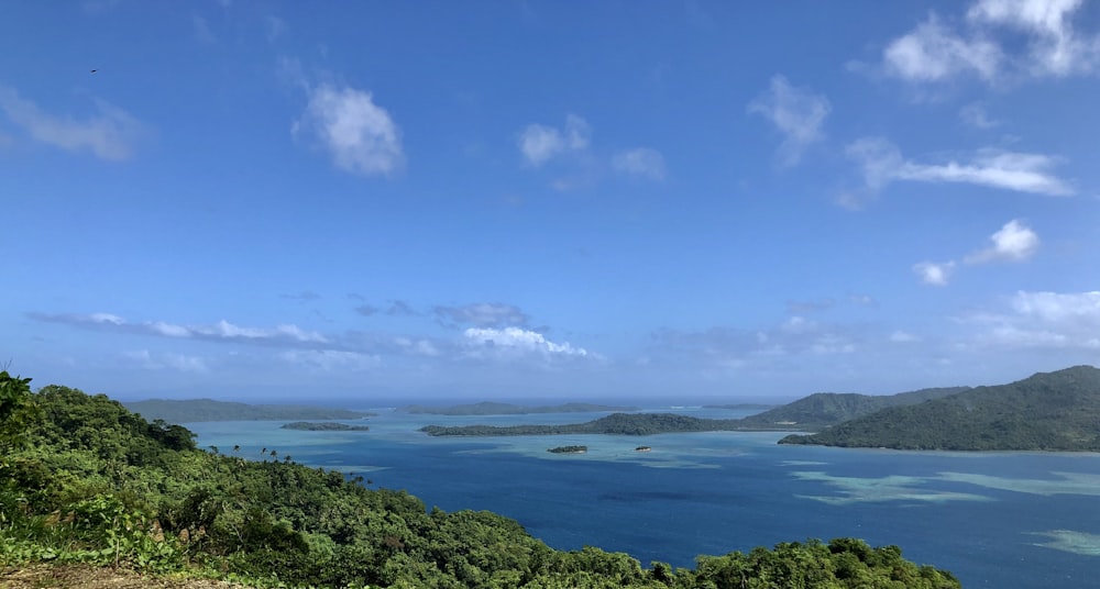 a scenic view of the ocean from a hill