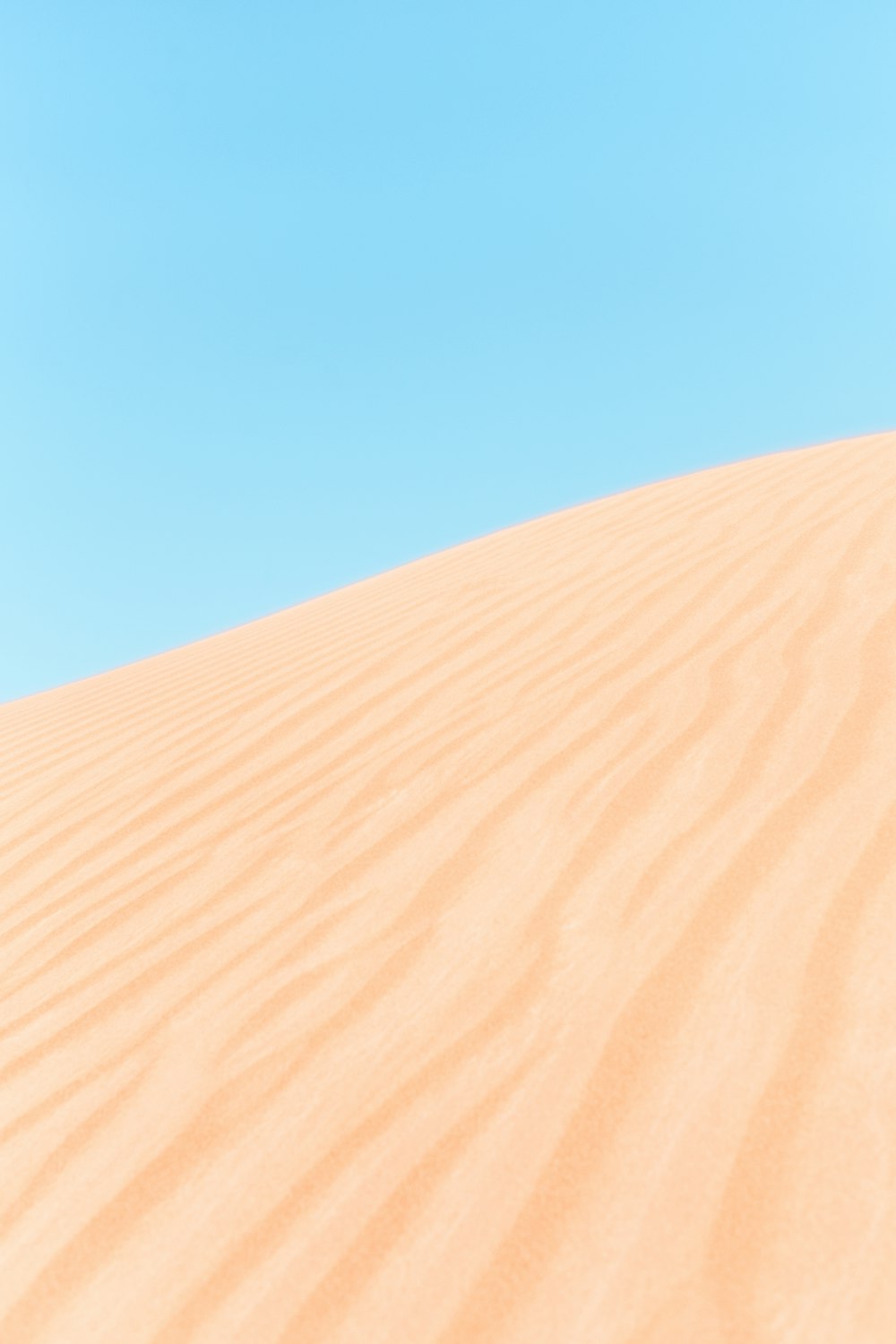 desert during datime